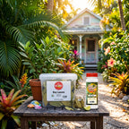 A garden table in a tropical backyard garden setup displays a clear plastic tub of Fresh Bay Leaves and a bottle of Bay Leaf Infused Oil, alongside a small jar and decorative shells. In the background, a rustic wooden house is softly blurred among lush green foliage and colorful tropical plants.