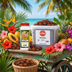 A clear plastic tub and a white spice jar of Spice Star Anise are displayed on a rustic teal cart surrounded by tropical fruits, flowers, and palm leaves against a beach backdrop.